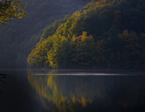 Q. 퇴직 당시 한국 거주자가 퇴직금을 IRP 계좌로 지급받아 과세이연 되었으며, 이후 미국으로 이민을 가게 되었습니다. 해당 퇴직금을 55세 이후 연금으로 수령하는 시점에는 미국 거주자로서 한국 비거주자가 됩니다.위와 같은 경우, 소득세법에 따라 “연금소득에 대하여 조세조약상 소득세 비과세/면제신청서”를 제출할 경우 한국에서 상기 연금 지급 시, 소득세 면제가 가능한지 궁금합니다.A. 비거주자는 소득세법 제119조에 따른 국내원천소득에 한하여 한국에 납세의무가 있습니다. 미국 거주자가 국내의 퇴직연금계좌에서 연금 외로 수령하는 금액은 소득세법 제119조 제8호에 따른 비거주자의 국내원천퇴직소득에 해당하고, 한국-미국 조세조약 제19조를 적용받아, 한국에서의 최종적인 과세권이 확정됩니다.반면, 미국 거주자가 국내의 퇴직연금계좌에서 연금으로 수령하는 금액은 소득세법 제119조 제8호의2에 따른 비거주자의 국내원천연금소득에 해당하고, 한국-미국 조세조약 제23조를 적용받아 한국에서는 비과세·면제되는 것입니다.아울러, 연금소득의 실질귀속자인 비거주자가 해당 연금소득에 대해 조세조약에 따른 비과세·면제를 적용받으시려면, 대가를 수령하기 전까지 ‘연금소득에 대하여 조세조약에 따른 소득세 비과세·면세신청서(소득세법 시행규칙 별지 제29호의2서식(5))’ 및 해당 비거주자 거주지국의 권한 있는 당국이 발급하는 거주자증명서를 첨부하여 대가 지급자에게 제출해야 하고, 대가 지급자는 그 지급일이 속하는 달의 다음달 9일까지 납세지 관할세무서장에게 제출해야만 비과세·면제 적용이 가능한 것입니다.&nbsp;